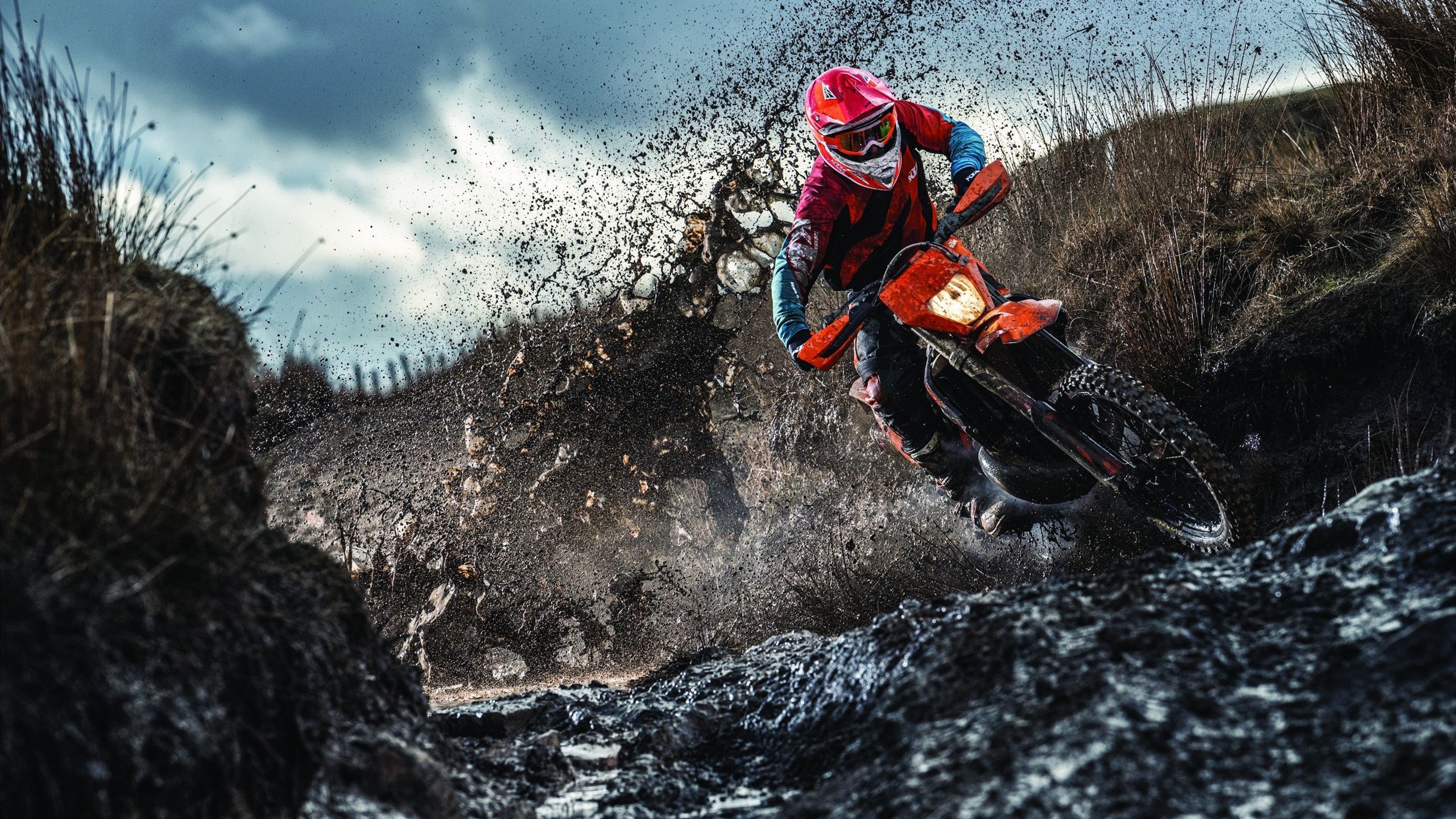 【新规则的反应与优化】联盟是否考虑继续调整？公众反馈如何？